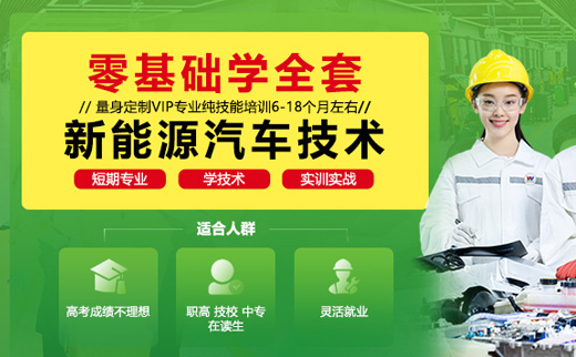 零基础学全套新能源汽车技术